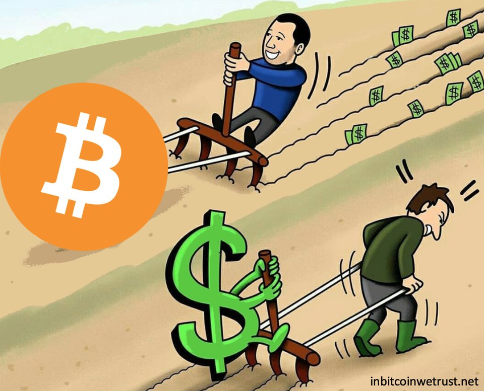ssaurel's tweet photo. #Bitcoin Works for You, While You Work for the U.S. Dollar.

This is a fundamental truth that you need to understand. https://t.co/1wtTcADqoB