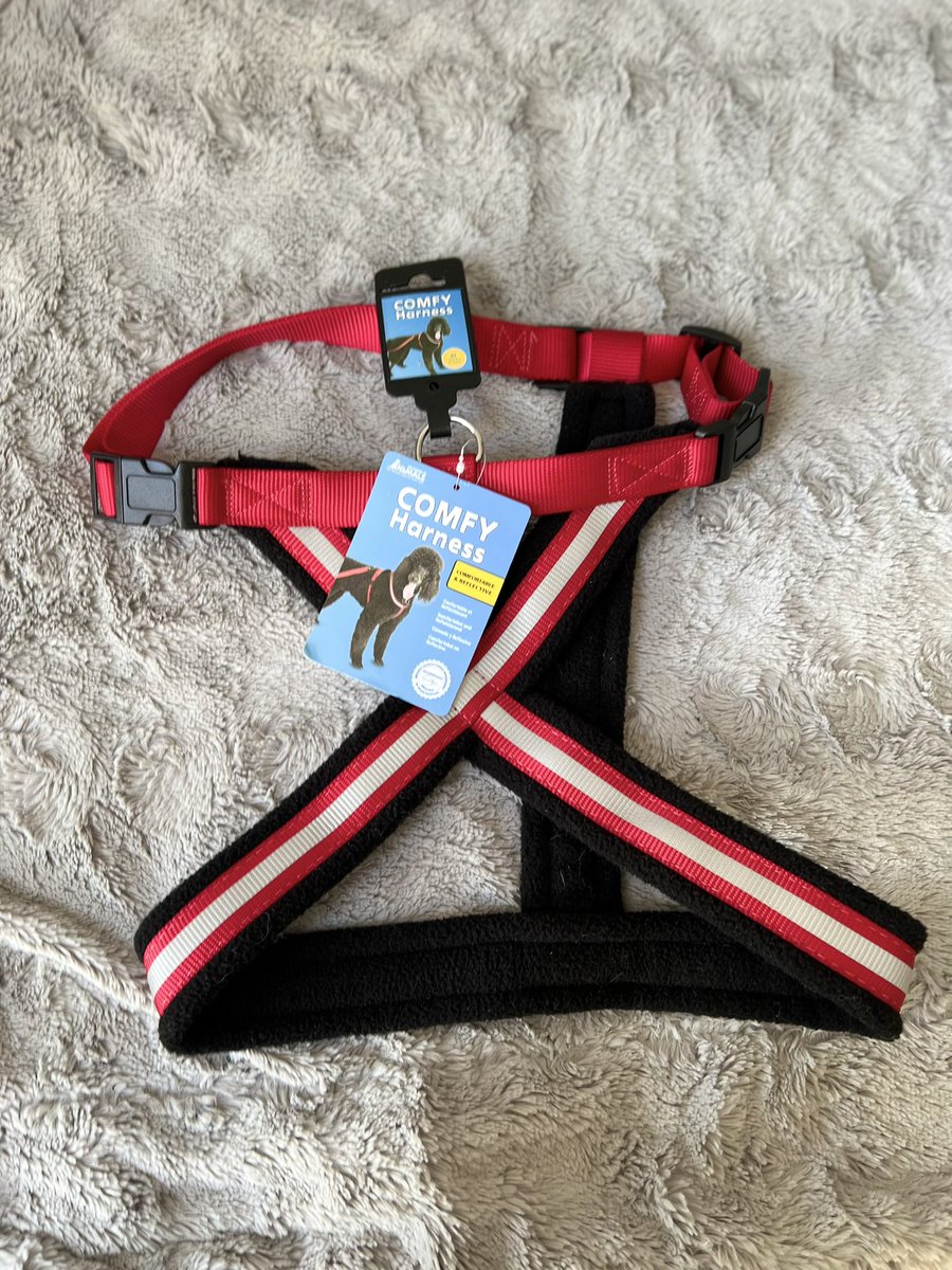 Saltney Pet Accessories tweet media