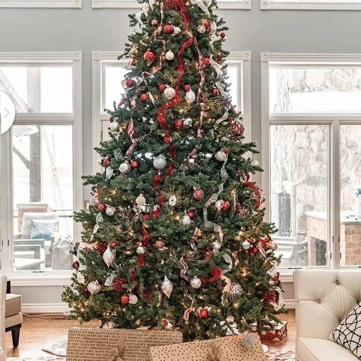 George Valli (@george_valli) on Twitter photo 