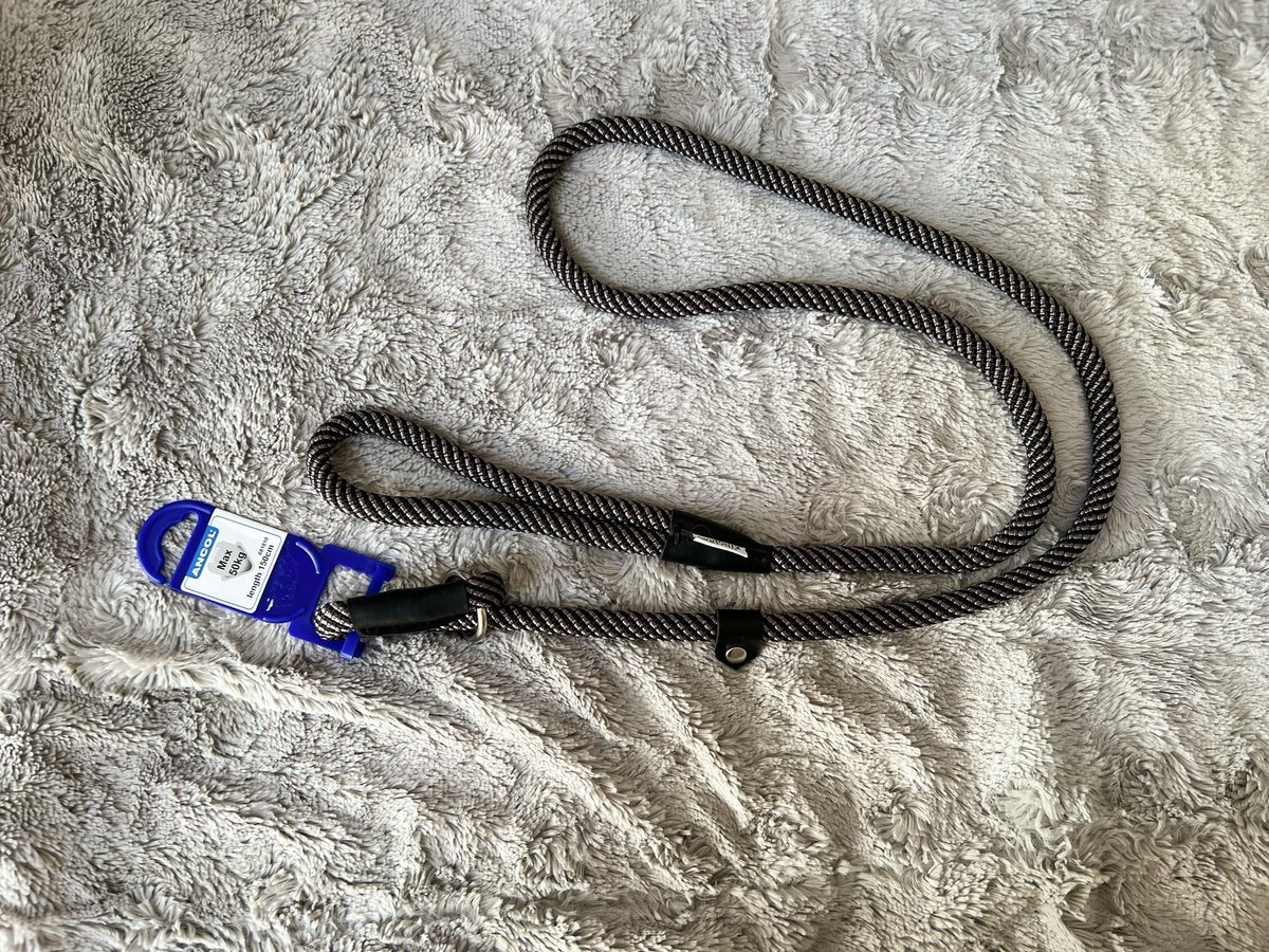 Saltney Pet Accessories tweet media