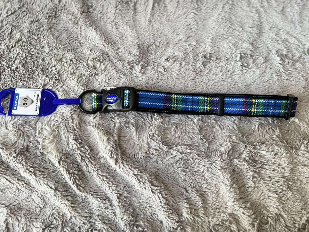 Saltney Pet Accessories tweet media