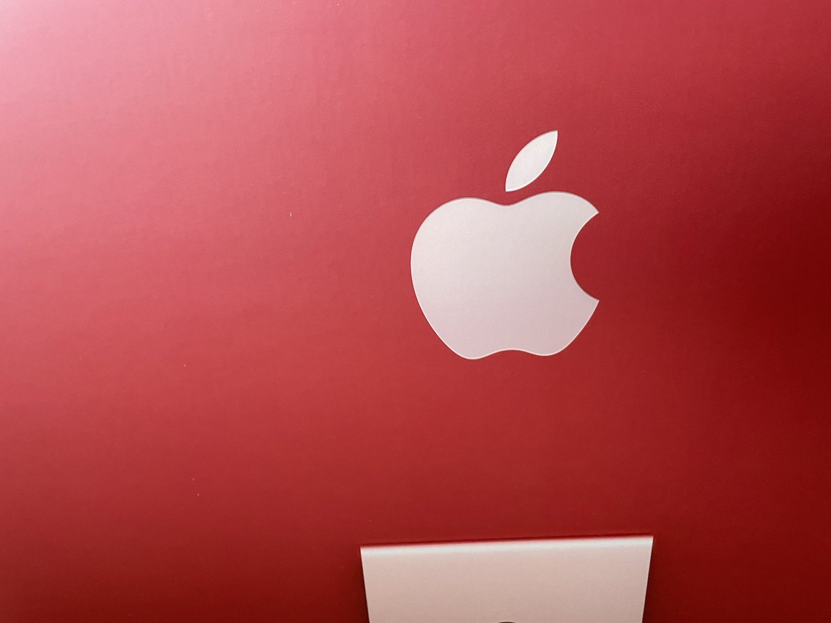 Lagrima Hacioglu tweet media