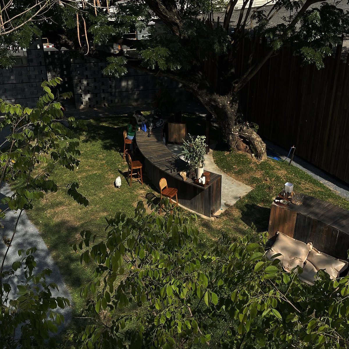 bjauntanywhere's tweet photo. THE WOOD LAND คาเฟ่ที่ยกป่ามาไว้กลางเมืองได้อารมณ์ตั้งแคมป์ปิกนิกในหนังฝรั่ง บรรยากาศดีมาก (ช่วงนี้เพิ่งเปิดคนค่อนข้างเยอะเลยทีเดียว) สามารถพาน้องหมาไปเดินเล่นได้ เป็นคาเฟ่แบบ open air เน้นความธรรมชาติใต้ร่มไม้ใหญ่  🌳🌳🪑☕️ https://t.co/91ss71QApt
