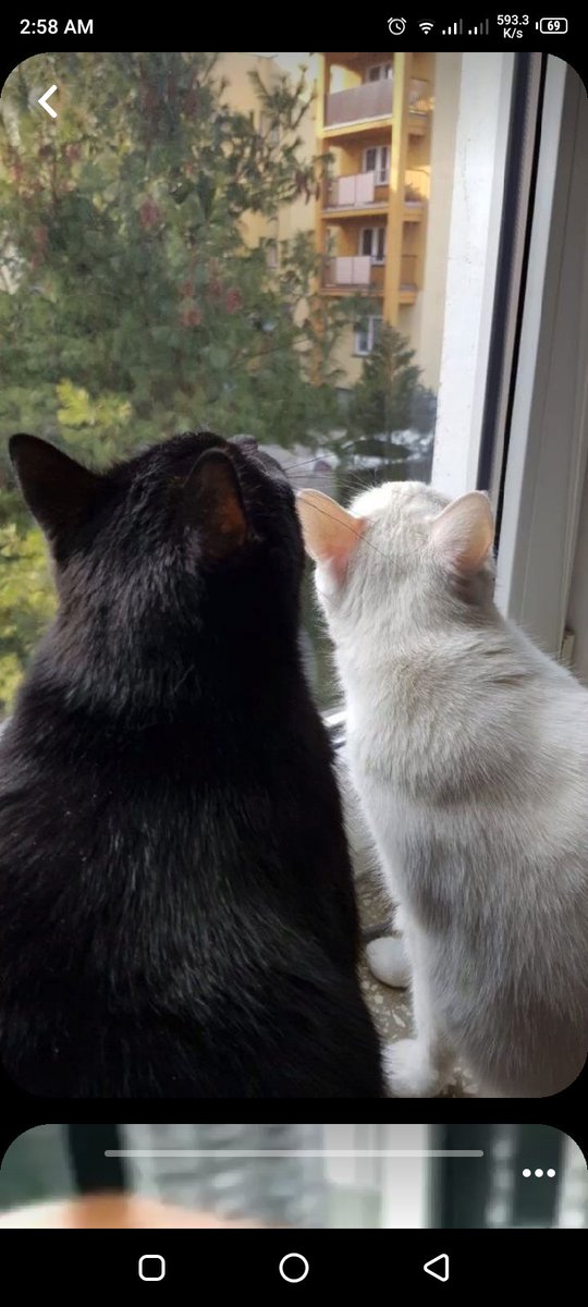 sam-core (@samwcore) on Twitter photo 