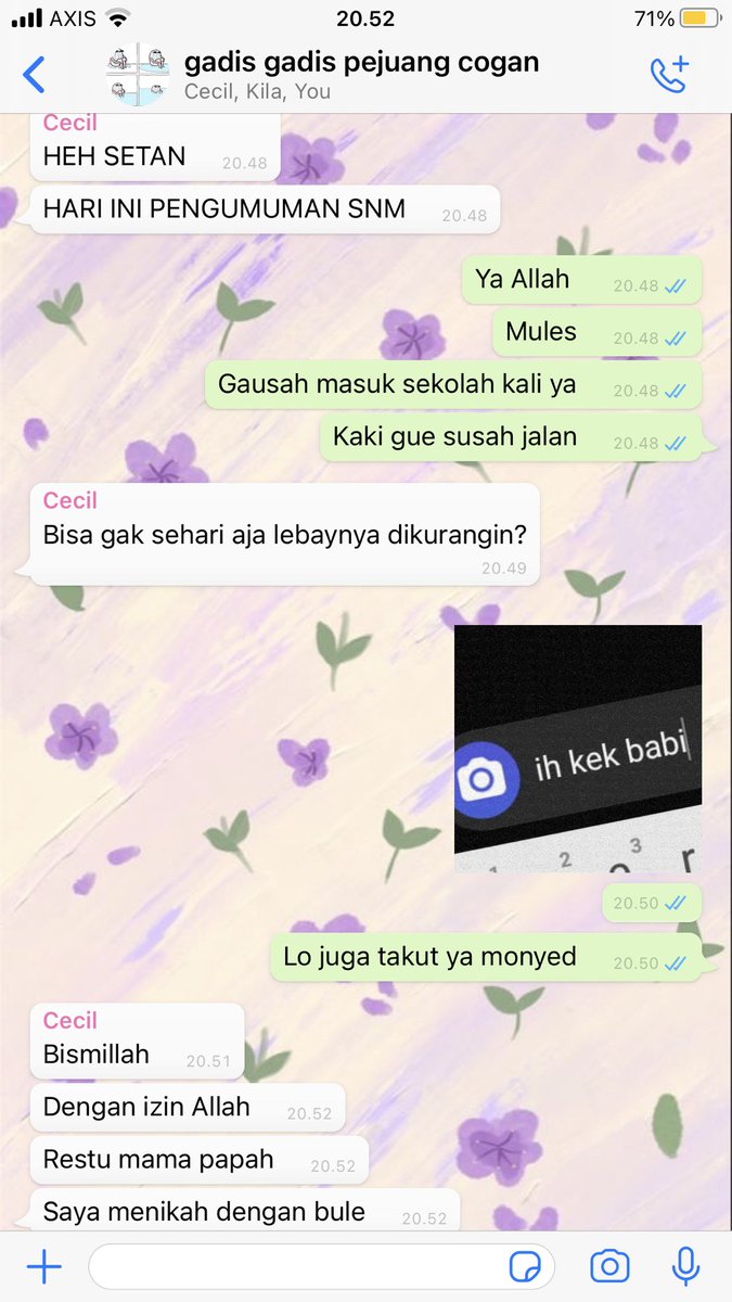 bojak tweet media