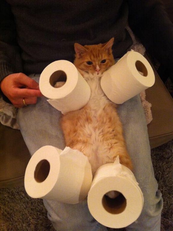 I'm equipped!