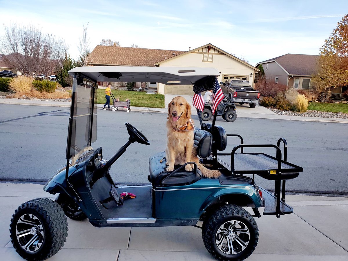 GolfCartGarage's tweet photo. Who wouldn't want to take this ride???
Look whose ready to enjoy the golf cart ride and what a pose!!!

Thanks to our customer and follower Shelley Waddle Cortez for sharing this picture with us. 

#golfcart #cart #cartlife #2022 #trending #clubcar #yamaha #animalove #vacation https://t.co/CQxJp1tx7h