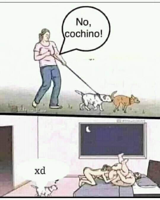 Ginger_bamba's tweet photo. 🤣🤣💯 https://t.co/k1R7pR1ixZ