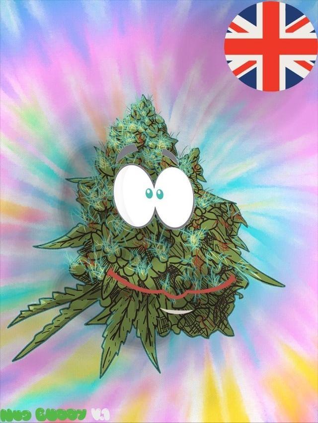 NugBuddys's tweet photo. @stickytoffita @NFTCompanyy https://t.co/iRhfdE1HGX