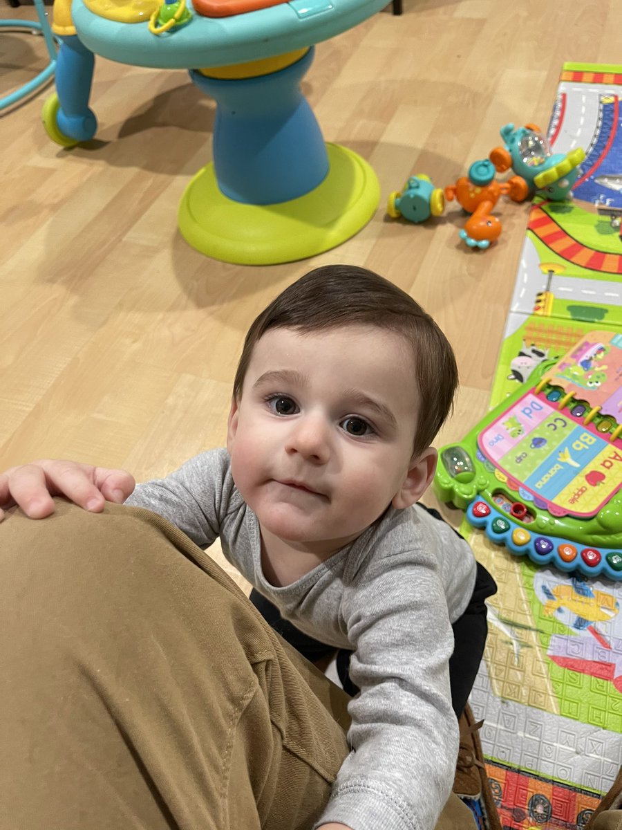 dcobborless's tweet photo. Happy birthday to this mini king. My future children are going to have to contend with you for my love. https://t.co/lLO1YO3KcX