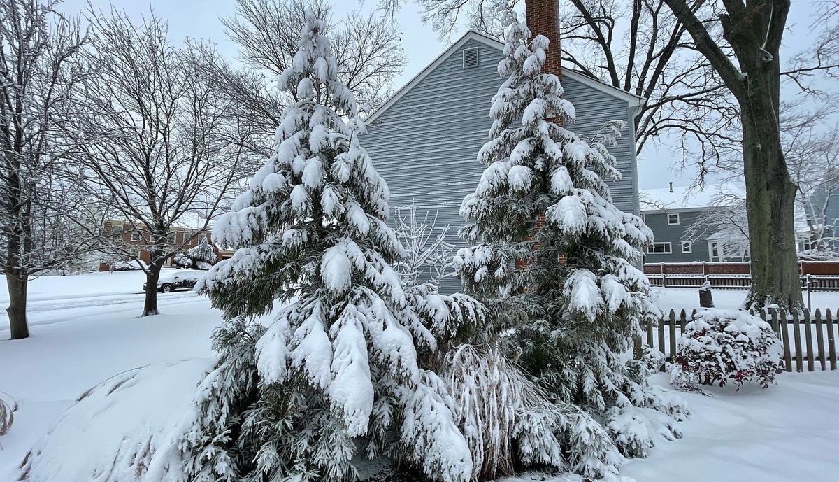 CuffandCompany's tweet photo. Our winter wonderland! ❄️❄️❄️
#firstsnowof2022 @dougkammerer @nbcwashington https://t.co/KjnOKZgDtg