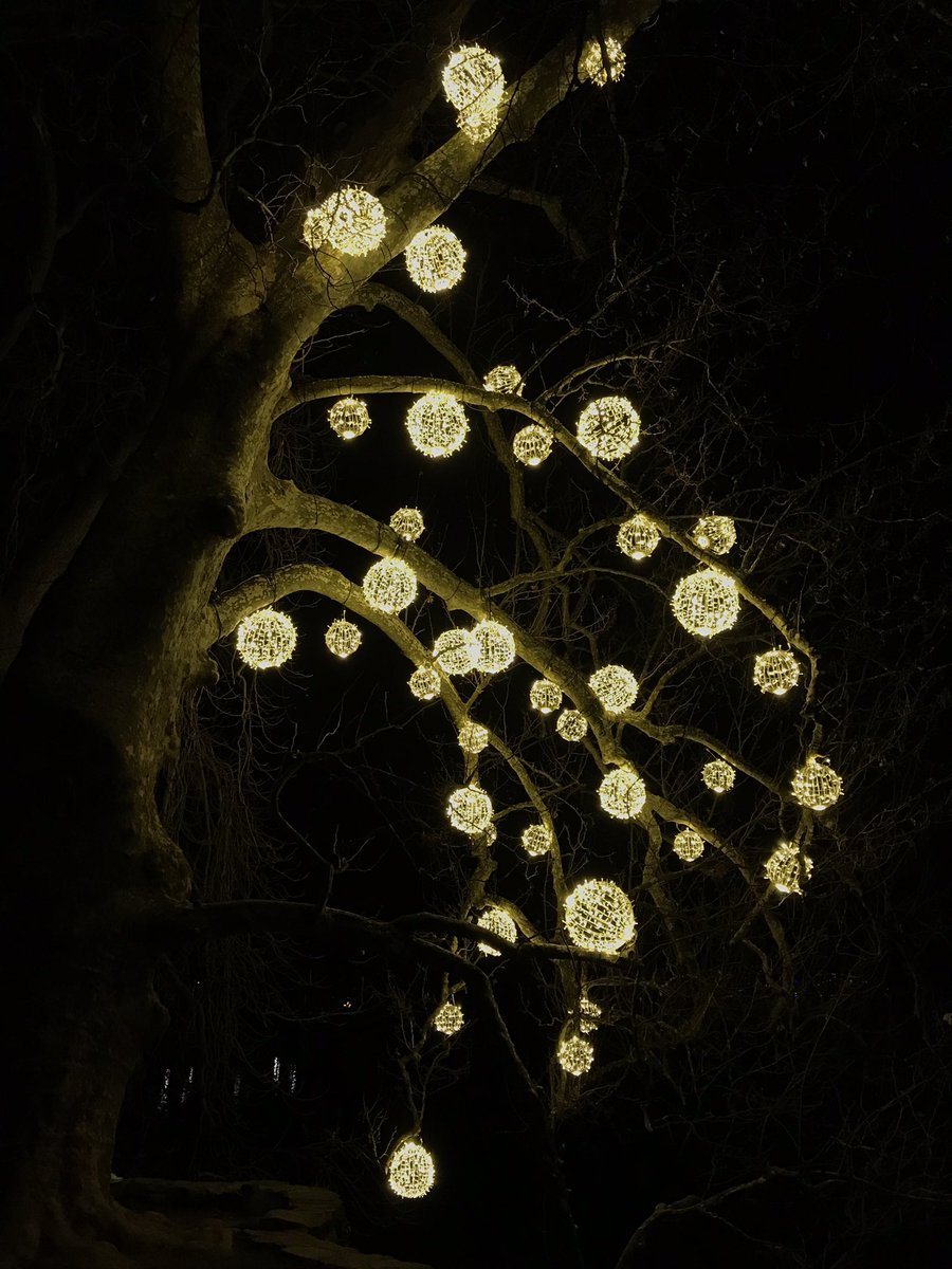 elly_lakes's tweet photo. PCR Test negative! Jack and I will fly back to Japan in a couple of hours ✈️ Yesterday Lugano said goodbye to us with its beautiful Christmas lights ✨ Let’s start this new year, the one of the tiger, roaring! 🐯

#ellylakes #backtojapan #あけおめ https://t.co/MRXxdR6kIB