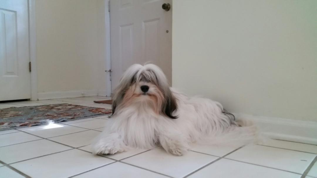 HEY <a href="/alainakthompson/">Alaina Thompson-NTP</a> QUICK STOP DROP AND ROLL!!! YOU'RE SUPA HOT!!