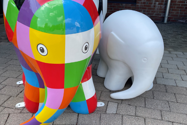 Artists, there's only one week left to submit your designs for Elmer's Big Belfast Trail! 🐘 You can email your designs to elmer@nihospice.org or upload at: fal.cn/3l3AS

We can't wait to see your masterpieces! 🎨

#ElmerBelfast #ElmersBigBelfastTrail #ArtsNI