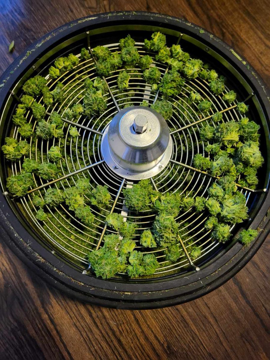 Crypto_Junkie420 tweet media