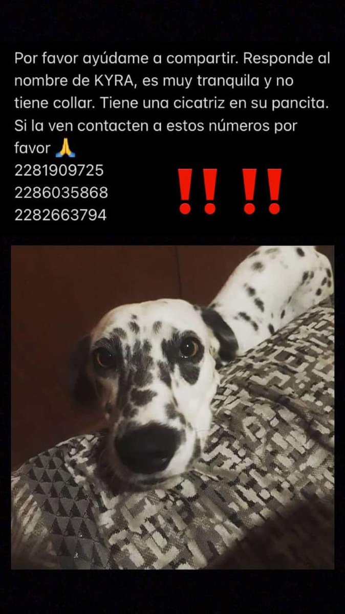 Lobokarl1's tweet photo. Ayuda  porfavor @Freportexalapa @DiAlGoSo @Pechmed @VialidadXalapa @MeganoticiasXAL @Artee_mtz @buzonxalapa @alcalorpolitico @CIC_Xalapa @reportecx https://t.co/LgzFbHUrNa