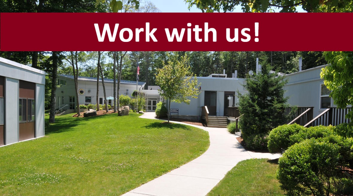 USGS Coastal Change on Twitter "🌊 We’re hiring! 🌊 The USGS Woods Hole Coastal and Marine