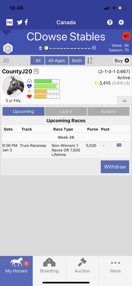 Got this big stam bar filly if anybody wants to place an offer 👍🏻 <a href="/Gerry86094228/">Gerry</a> <a href="/Cody83977939/">Cody</a> <a href="/StablesTrex/">Trex Stables</a> <a href="/AndPacing/">Off and Pacing</a>