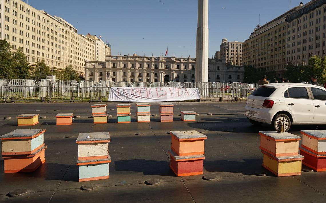 Red Metropolitana de Apicultores no comparte método de protesta utilizado frente a La Moneda

Sigue Leyendo Aquí👇👇👇

portalpirque.cl/index.php/more…