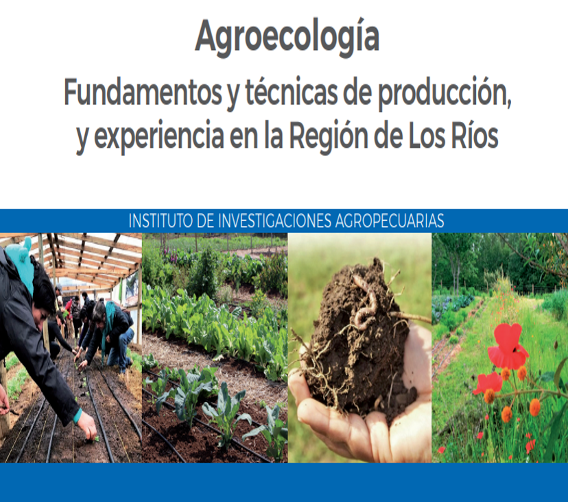 AgroecoINIA's tweet photo. ¿Quieres bajar la versión digital de nuestra nueva publicación: "AGROECOLOGIA. Fundamentos y técnicas de producción, y experiencia en la Región de Los Ríos"?  Hazlo en: https://t.co/TufAqvJ6MY
O escanea el código QR https://t.co/yvzl4sBElq