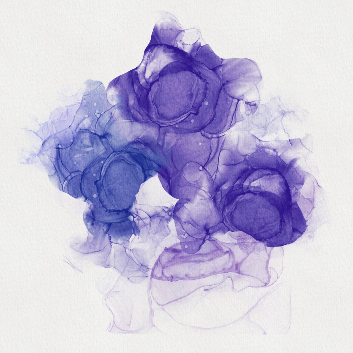 m1ngwang's tweet photo. @opensea My collection Wonders in Abstract

https://t.co/6p4vj8TbAl https://t.co/rJxuRpWjyS
