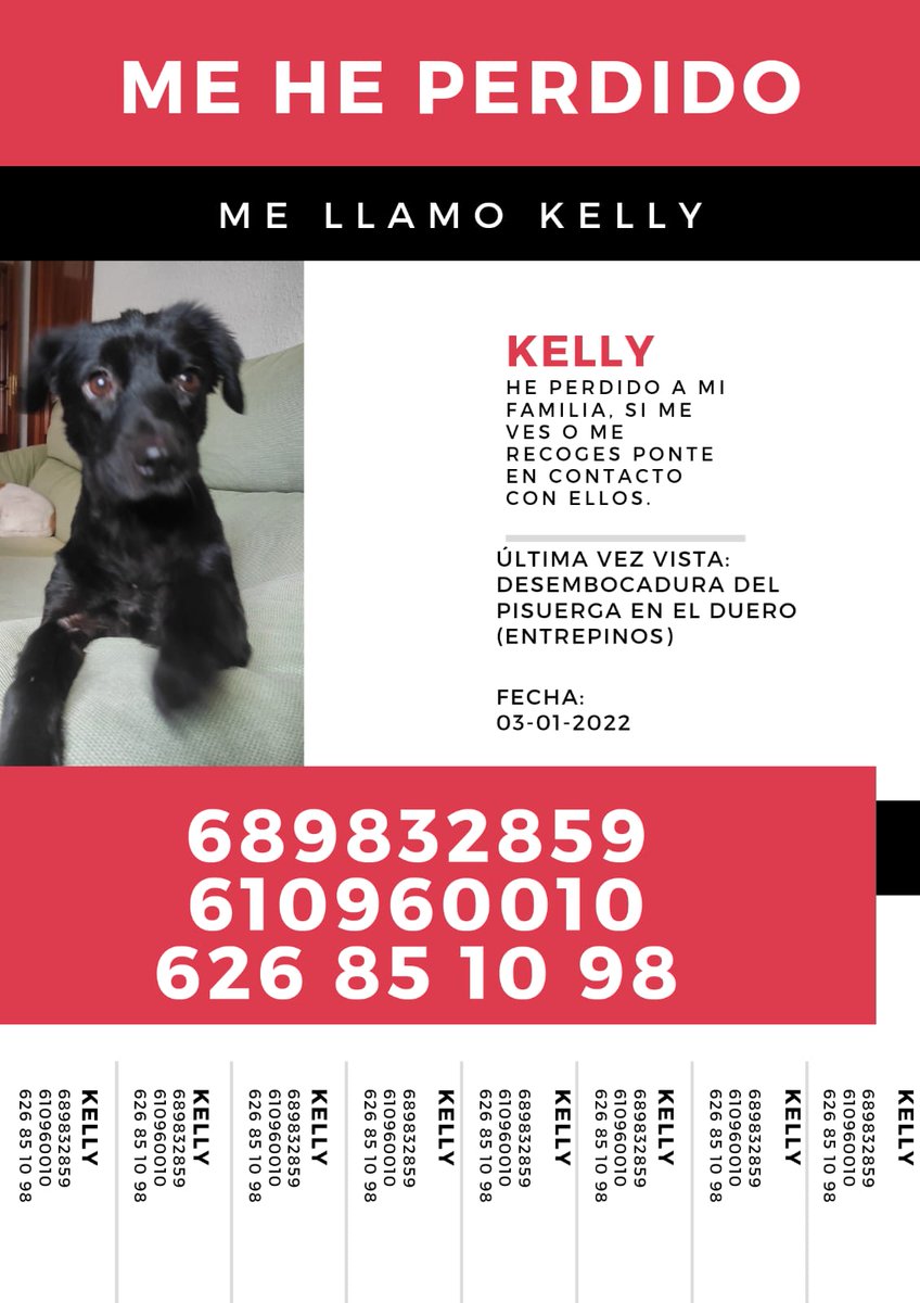 laracolas's tweet photo. ¡PERDIDA! RT por favor. Me ayudarías mucho (Entrepinos, Valladolid) https://t.co/b5yNFHjlmJ
