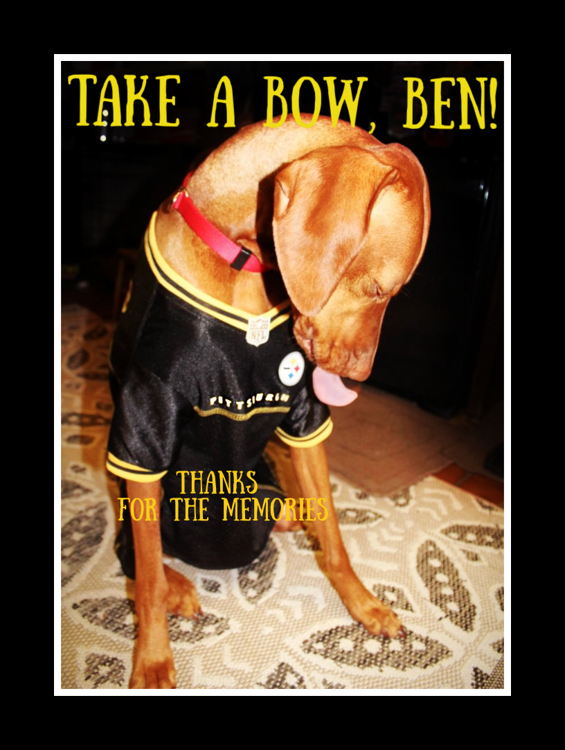 lynnietoth's tweet photo. @_BigBen7 #TakeABow Best Wishes to you and your family! #Doggoneit #SimplyTheBest https://t.co/R7Tumy7MYx