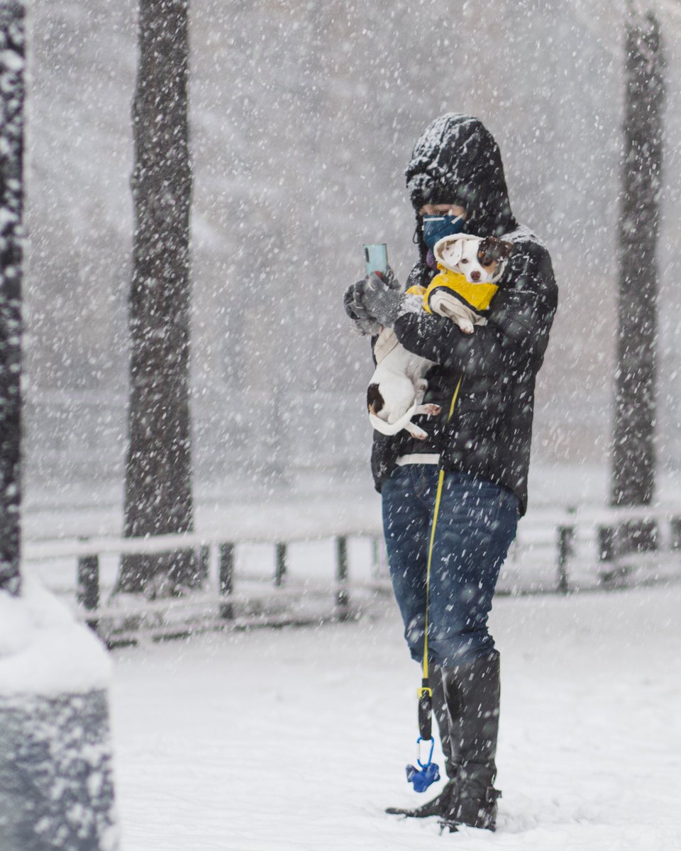 Yehesuah's tweet photo. Snow in DC
#snowstorm #snowvid #DCSnow https://t.co/jWoVrkESjZ