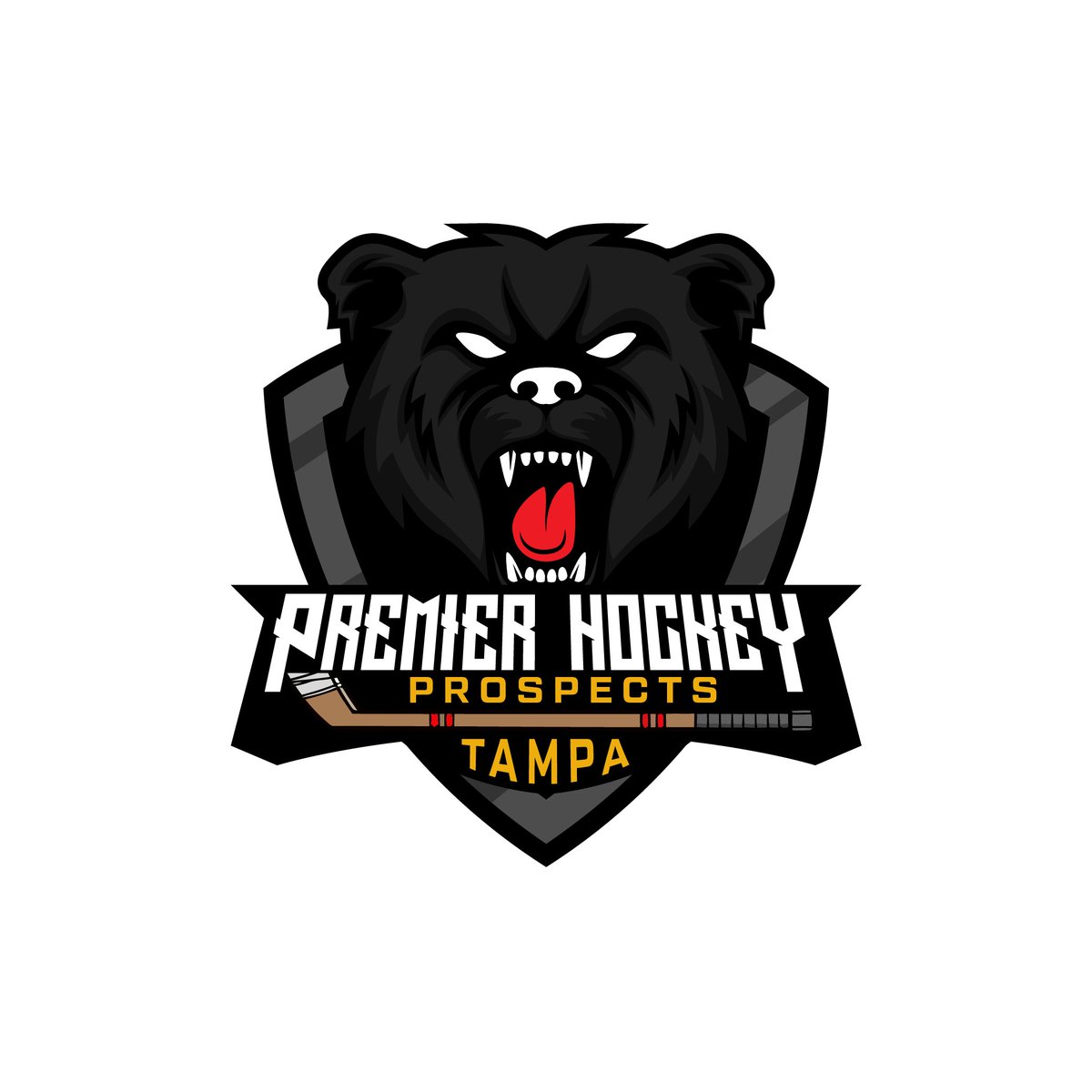 Interested in joining the team, or learning more about the program? complete this interest form: bit.ly/3JBW1ok