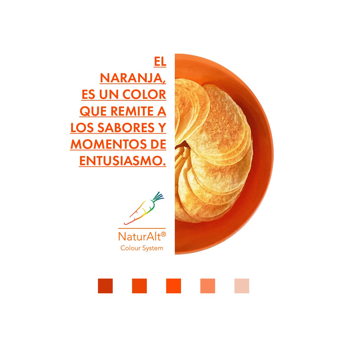 AltecsaIngred's tweet photo. Lleno de entusiasmo, cálido, enérgico, activo y vibrante es como deseamos empieces el año; cualidades que se comparten con el color naranja. Que este 2022 se viva con la misma intensidad de nuestros colores. 

#Altecsa #naranja #Tlaxcala #VivirTusPropósitos #colorantesnaturales https://t.co/Kz1HofgRHD