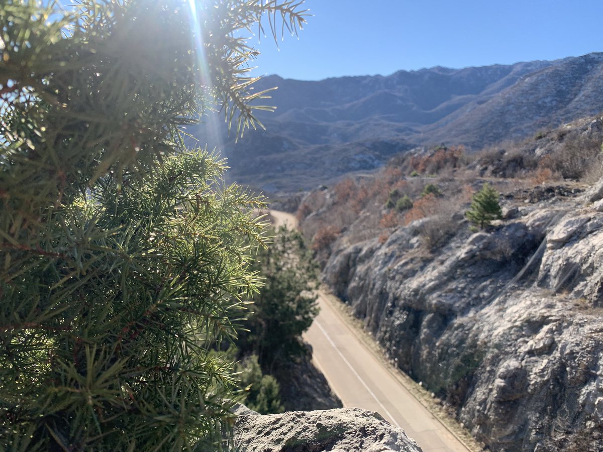 CampingBiokovo's tweet image. Love outdoors #zagvozd #campingbiokovo #campsitebiokovo #biokovo #croatia #nature #lovenature #mountains