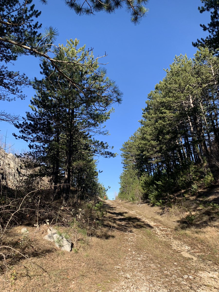 CampingBiokovo's tweet image. Love outdoors #zagvozd #campingbiokovo #campsitebiokovo #biokovo #croatia #nature #lovenature #mountains