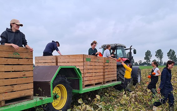 warmonderhofBD's tweet photo. Studenten Aeres MBO Dronten Warmonderhof vertellen hoe het is om één teeltseizoen lang zelfstandig een biodynamisch akkerbouwbedrijf (LONK) of biologisch tuinbouwbedrijf (LOT) te runnen bij Aeres Biologisch Bedrijf. https://t.co/zIFr5F0CXF
#biodynamisch #ondernemerschap #mbo4 https://t.co/jXPlDI073V