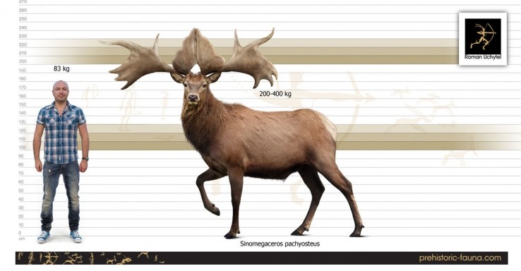 Javi_Etxebarria's tweet image. #HumanForScale