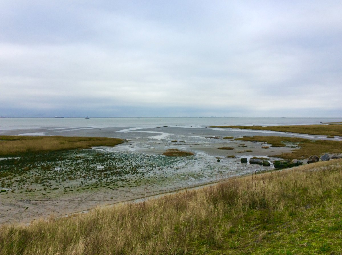 vallypee's tweet photo. My first blog of 2022: Life, leaks and long walks in the flatlands:
https://t.co/Swlq5edWdY
#blogger #blog2022 https://t.co/JmPkR0WMTs