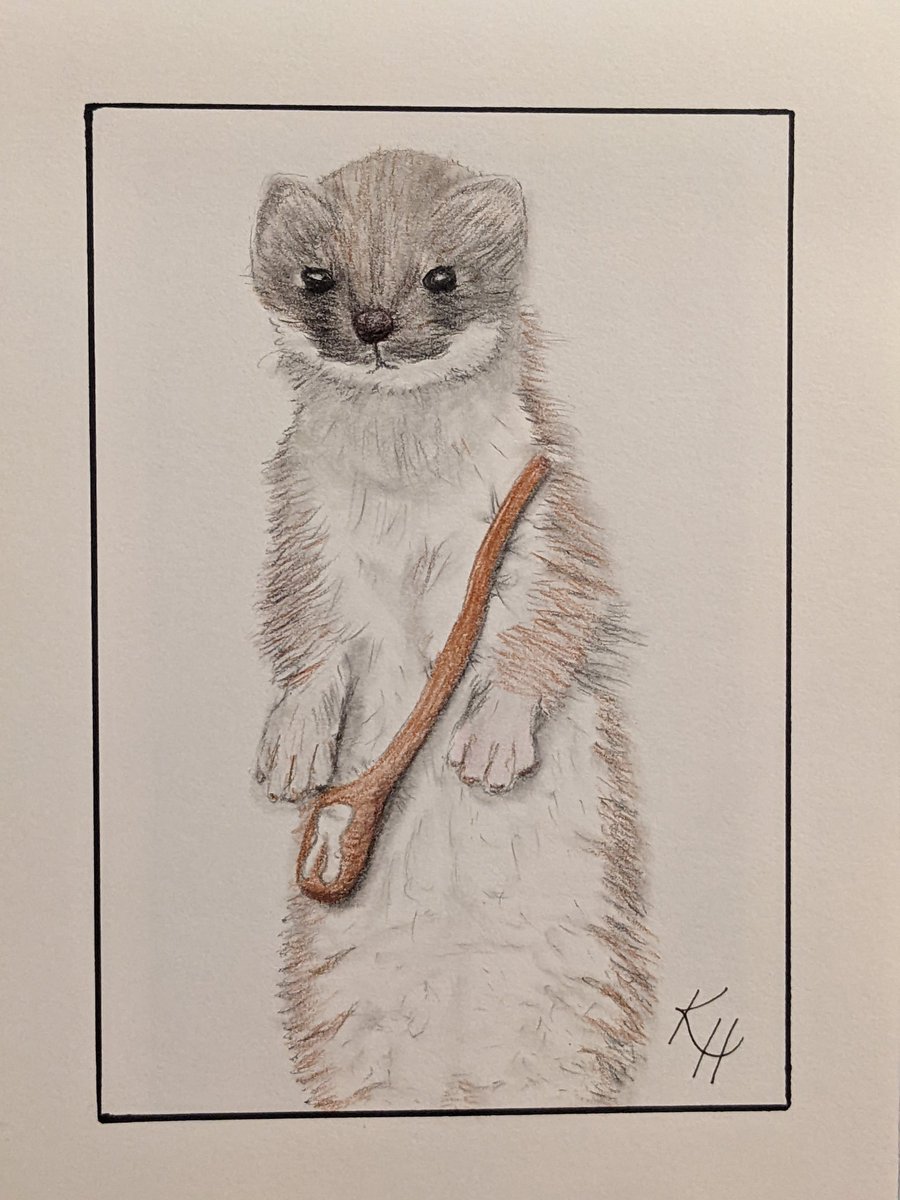 KateHunterCo's tweet photo. @JonnyEthco @AquarielleArt I love the creativity &amp; courage it takes to start something new. Here's my rendition of @ToothWeasel. I drew him yesterday on my birthday to help me laugh &amp; it worked. 🤣 Hope it makes you smile. Thank you for being you! 
#JustBecause
#JustKindGifts https://t.co/fpPycNM343