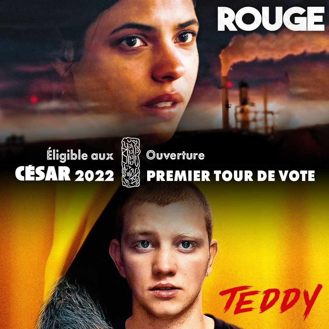 Les films Velvet tweet media