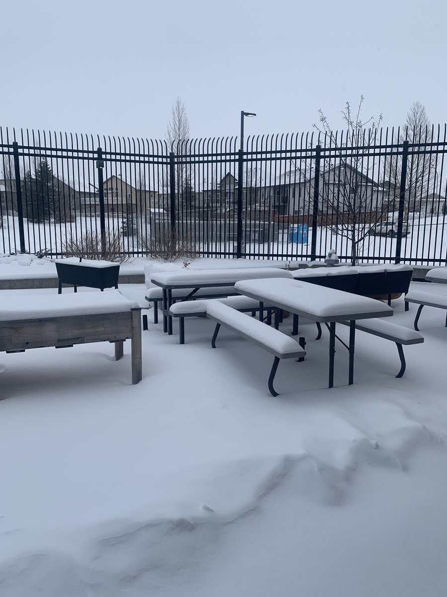 Don Campbell School tweet media