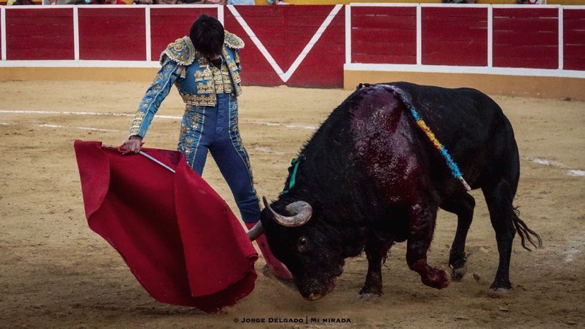 Info_Espada tweet media