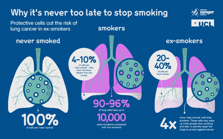 DailyPharmacist's tweet photo. SUSPECTED LUNG CANCER

⚠️ NICE recommend offering chest X-ray within 2 weeks to patients over 40 with:

• finger clubbing
• recurrent / persistent chest infections
• thrombocytosis
• chest signs of cancer
• unexplained symptoms e.g. cough, chest pain, dyspnoea, fatigue https://t.co/MwoY0aB304