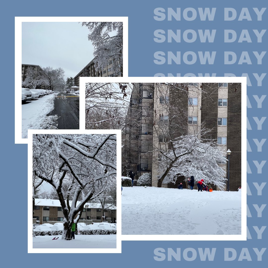 Congressional Towers tweet media