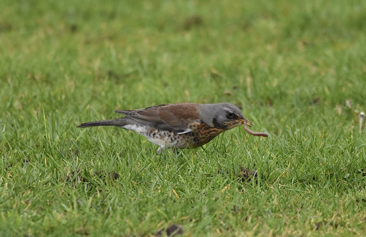 Jochem Sloothaak tweet media