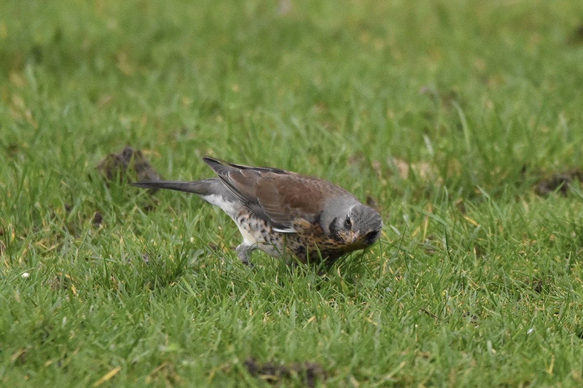 Jochem Sloothaak tweet media