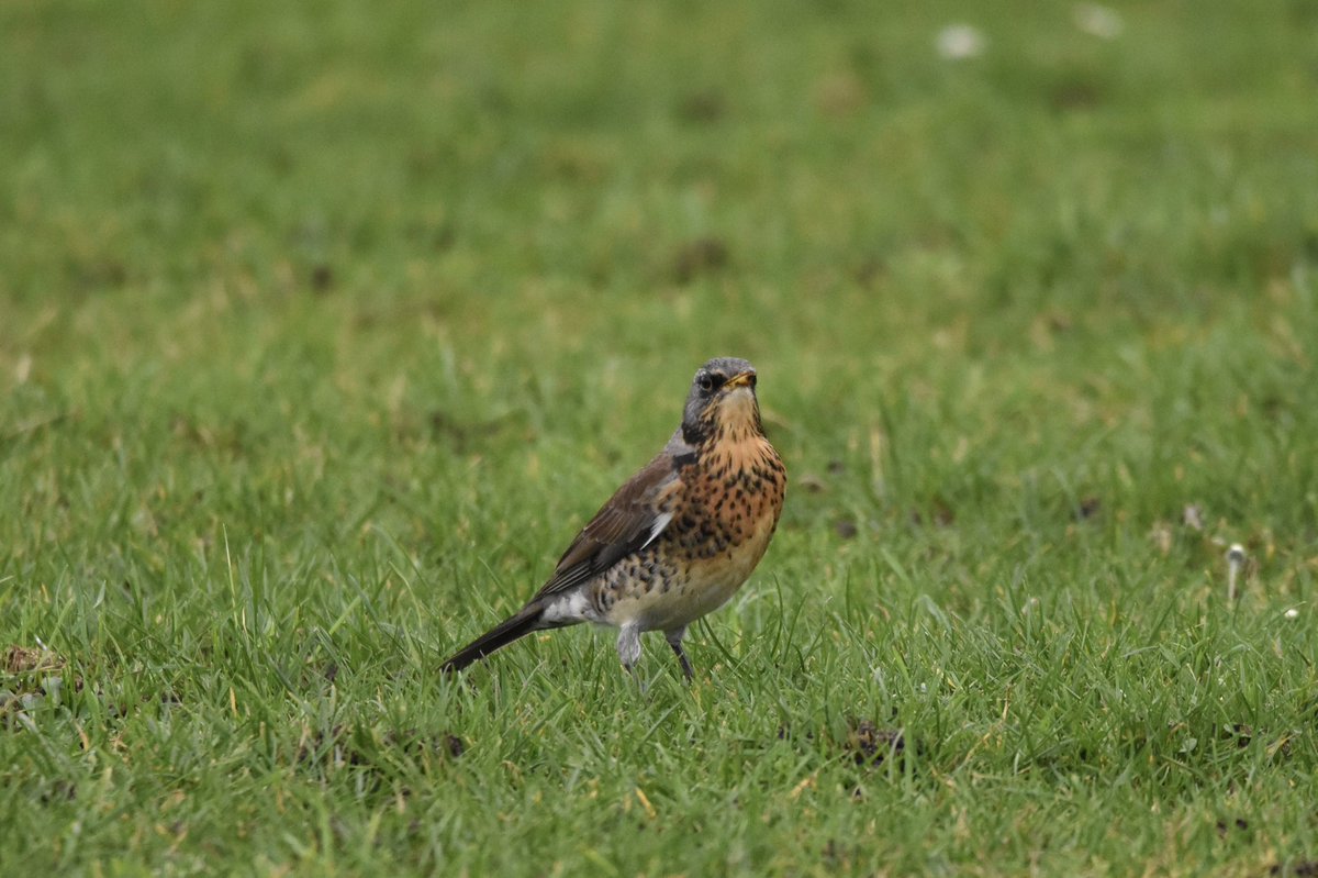 Jochem Sloothaak tweet media