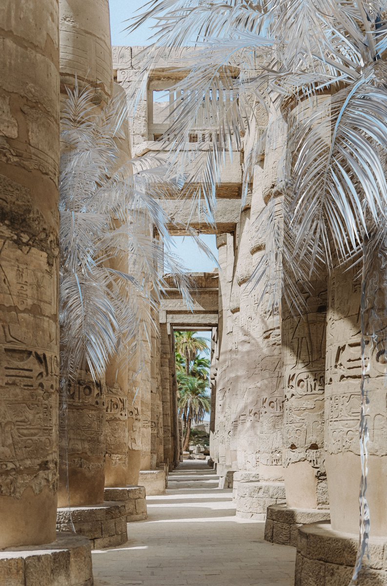 CalvynJustus's tweet photo. I'm excited to share my first photography piece 
"PALM TEMPLE" 
on @withFND .🌴
https://t.co/qXWlo2KfVX https://t.co/4VB5DLju3e