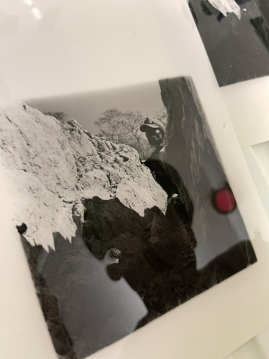 simpsondotmov's tweet photo. Rescanning some negs last, couldn’t help a quick test print with @frayser_LL . https://t.co/NF0oXQigNH