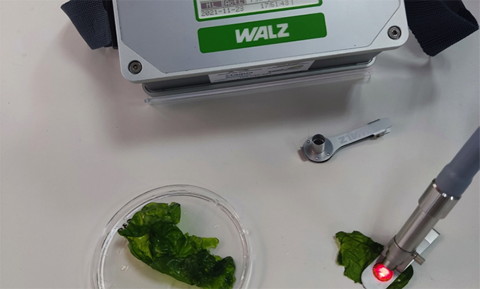 Ctaqua_CT's tweet photo. Reforzamos nuestras capacidades dedicadas a la #investigación del cultivo de #macroalgas

Conoce los detalles aquí: https://t.co/cDwF1bXrQG

#innovación https://t.co/GTpMReqPLE
