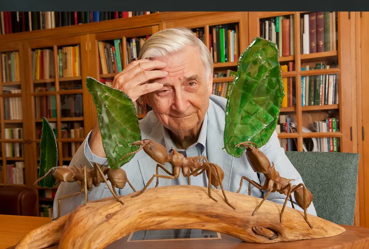 UDcanr's tweet photo. E.O. Wilson was an extraordinary scholar in every sense of the word. @UDelaware's Doug Tallamy paid tribute to the late biologist, who was the first to understand the evolutionary basis of both animal and human societies. https://t.co/1JNLZns4OV #UDel #Entomology #Sustainability https://t.co/VVEraQUfBV