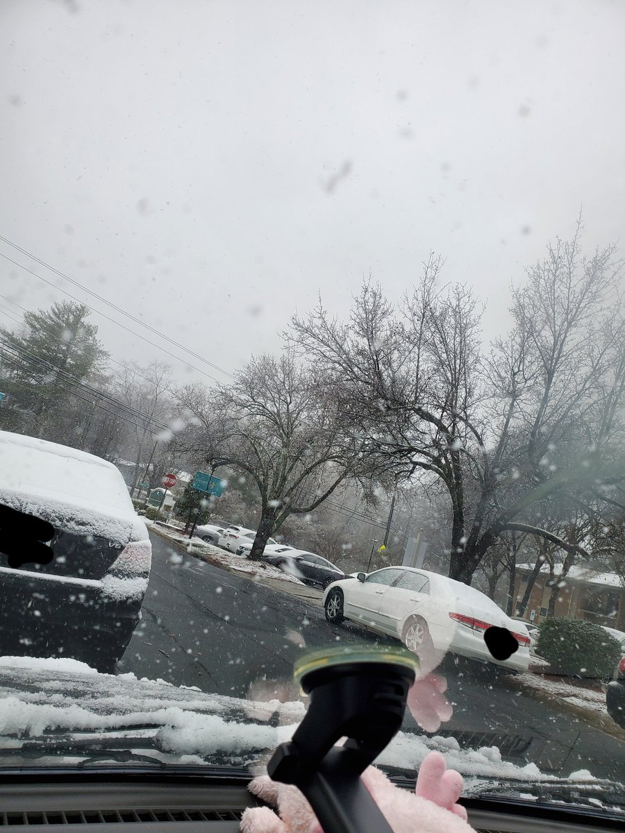 BlueAlienPeace's tweet image. It was 70 degrees yesterday.