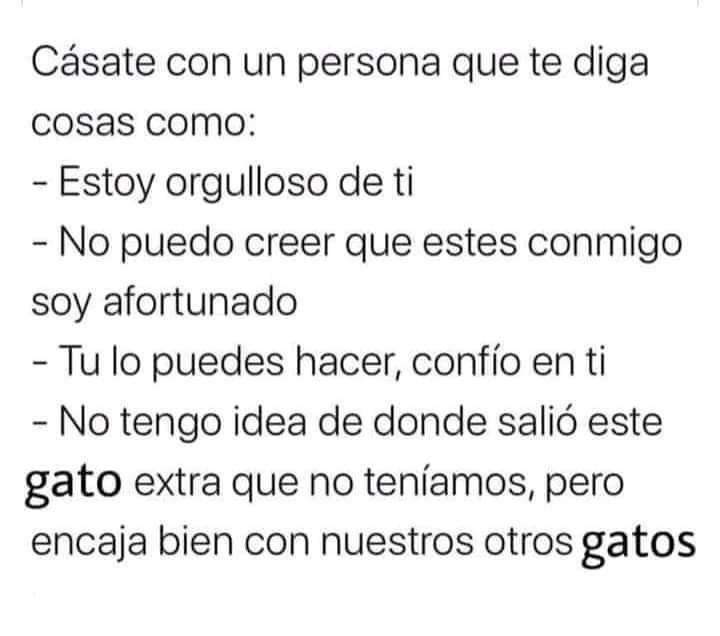 Entre maullidos🐈 y libros📚 tweet media